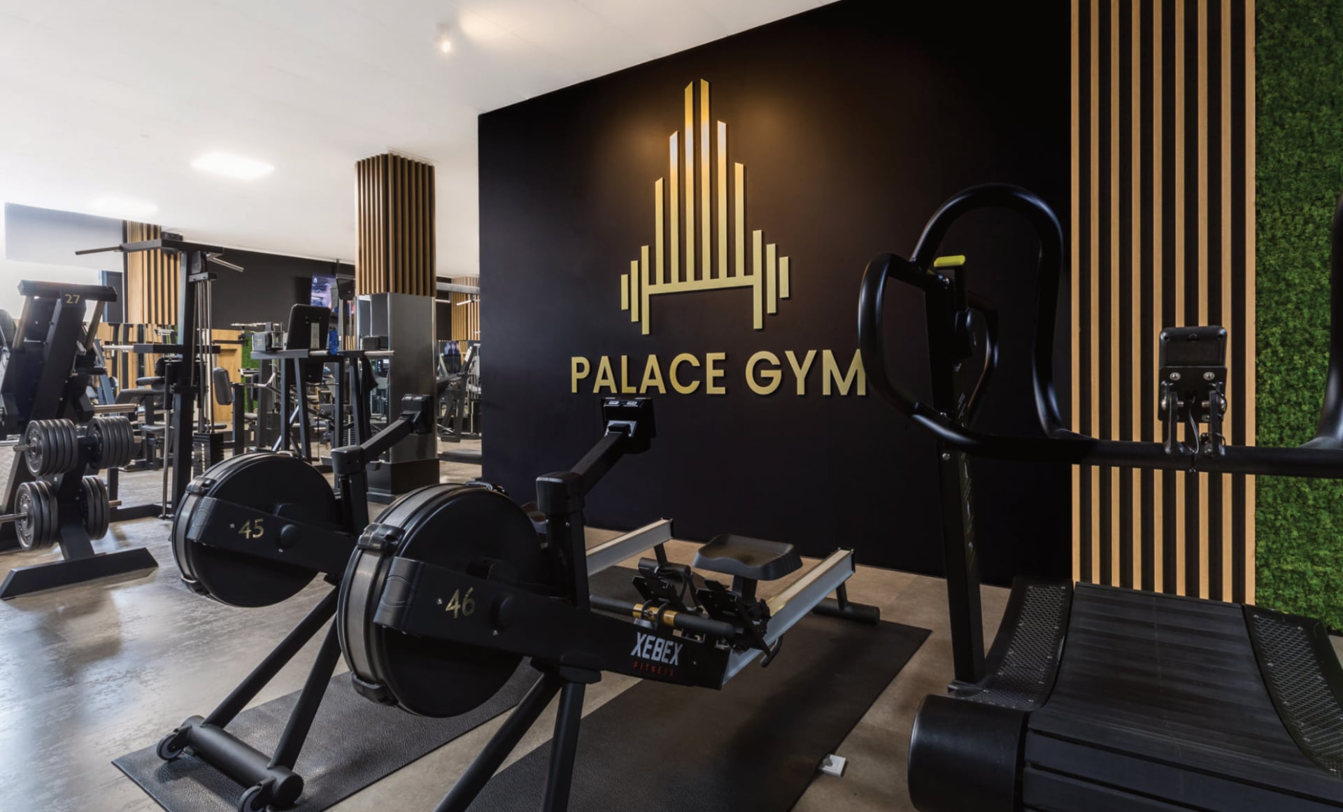 Posilňovňa Palace Gym Žilina