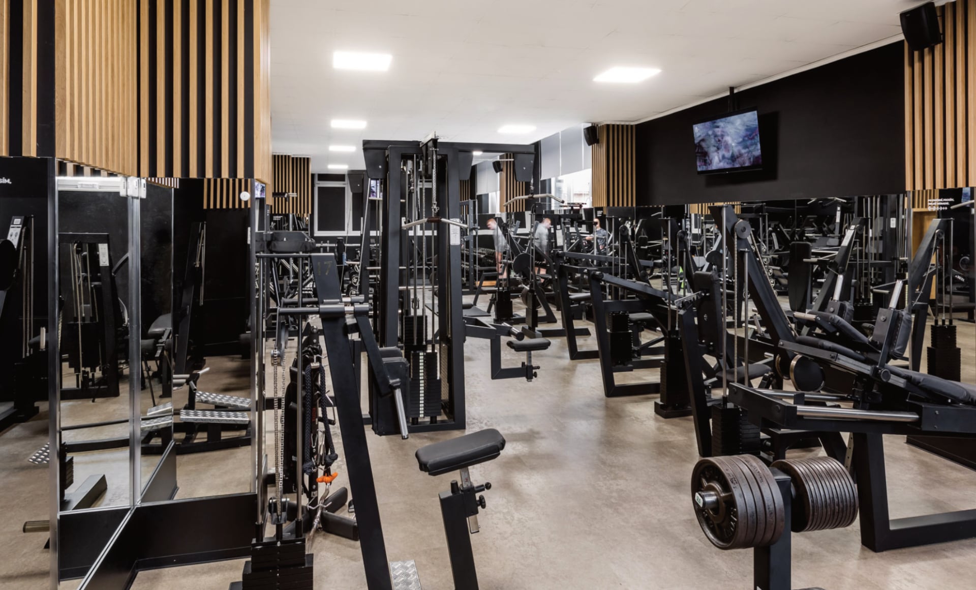 Posilňovňa Palace Gym Žilina